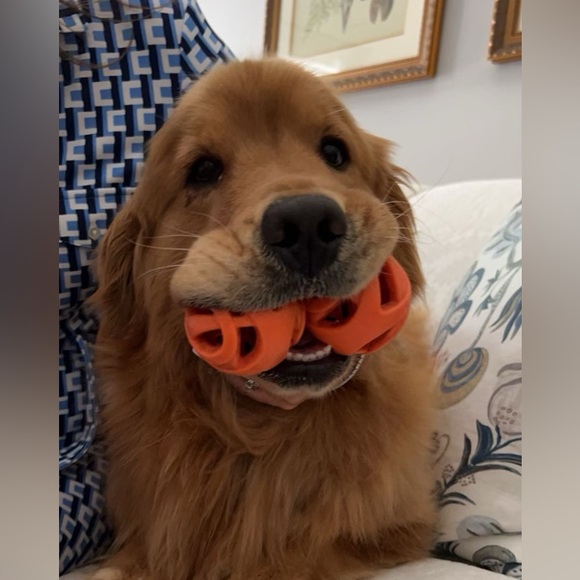 Meet your Posher, Dawn - Picture 5 of 12